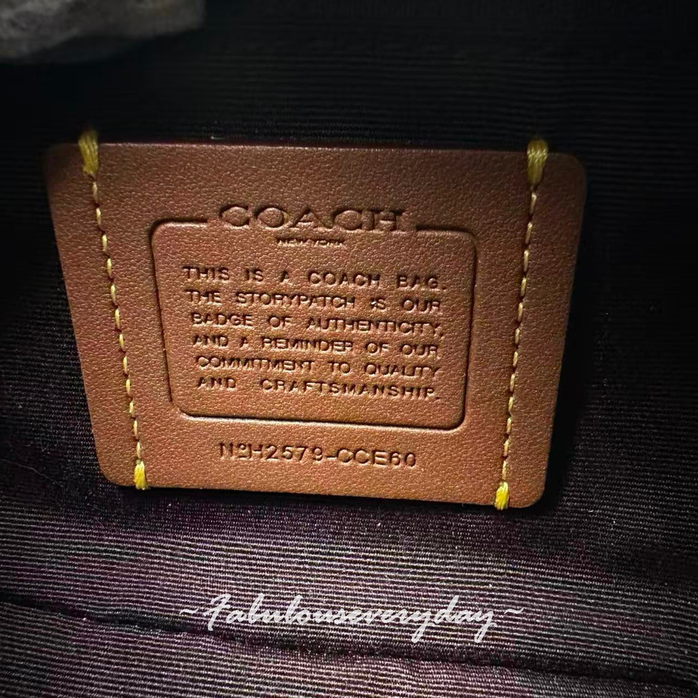 Coach Carmen Mini Crossbody Bag With Beaded Coach Graphic CCE60 Dark Wine NWT - Picture 9 of 9